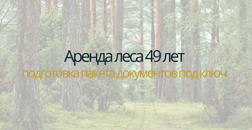 Аренда леса на 49 лет Аренда леса на 49 лет в Волосово